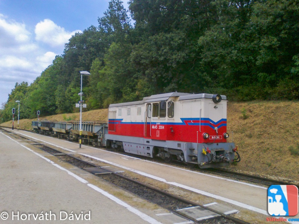 A tehervonat Szépjuhászné állomáson, a 135-ös számú vonatra várva (Fotó: Horváth Dávid)